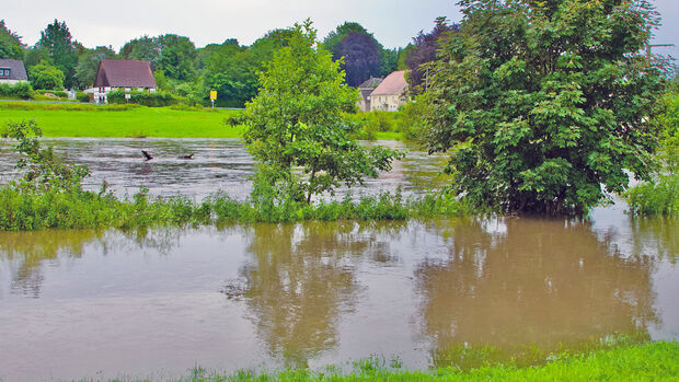 Die Ruhr in Höhe des Schwarzen Wegs ist erheblich über die Ufer getreten. Im Hintergrund die Gaststätte Korte FOTO: ANDREAS DUNKER