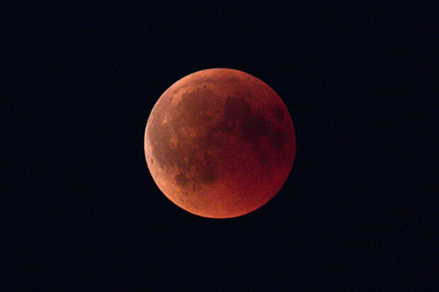 Mit einer hohen Teleobjektiv-Brennweite ist dem Wickeder Hobby-Fotografen Michael Mechtold dieser beeindruckende Schnappschuss vom "Blutmond" am schwarzen Nachthimmel gelungen. © FOTO: MICHAEL MECHTOLD