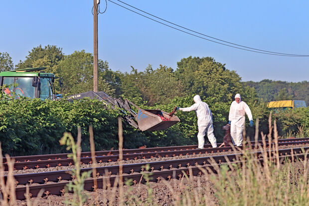 Zusammen mit einem Landwirt beseitigten ehrenamtliche Helfer der Freiwilligen Feuerwehr der Gemeinde Wickede (Ruhr) die zerfetzten Kadaver der acht toten Schafe, die über Schienen und Gleisbett verteilt lagen. FOTO: ANDREAS DUNKER
