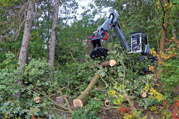 Mit einem Schreitbagger wurden bereits am vergangenen Freitag einige Bäume im Hövelwald gefällt. FOTO: ANDREAS DUNKER