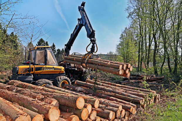 Der Forwarder (Holzrückezug) beim Abtransport der Stämme an den Straßenrand FOTO: ANDREAS DUNKER