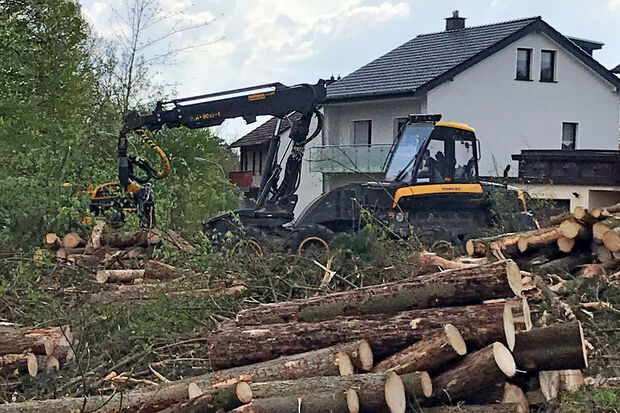 Der Harvester bei der Arbeit im Hövelwald FOTO: ANDREAS DUNKER