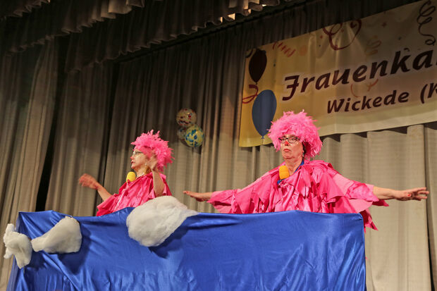 Etwas flatterhaft erschienen die rosa-roten Flugenten mit Flugangst. FOTO: ANDREAS DUNKER