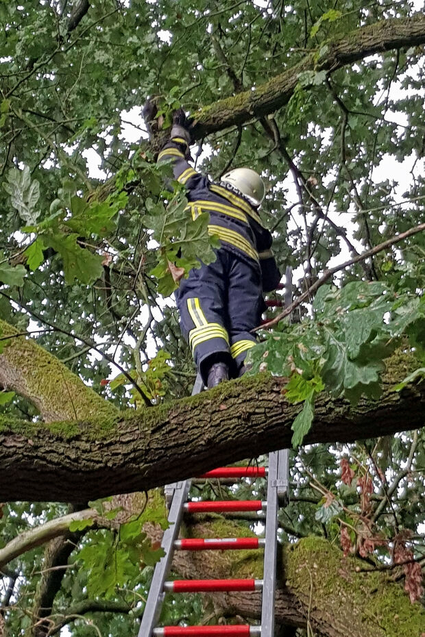 Feuerwehrmann bei der Tierrettung FOTO: FEUERWEHR