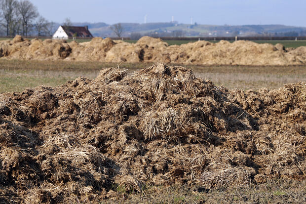 Misthaufen am Feldrand in Wimbern ARCHIVFOTO: ANDREAS DUNKER