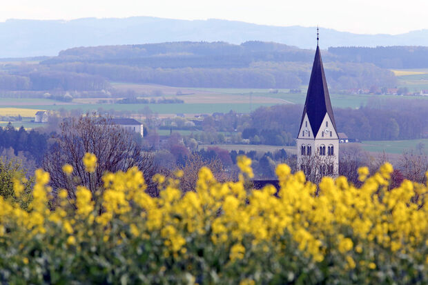 Rapsblüte auf der Haar in Wickede – im Hintergrund: die alte Wimberner Schule, das Heilig-Geist-Kloster der Steyler Missionsschwestern und die katholische St.-Antonius-Kirche ARCHIVFOTO: ANDREAS DUNKER