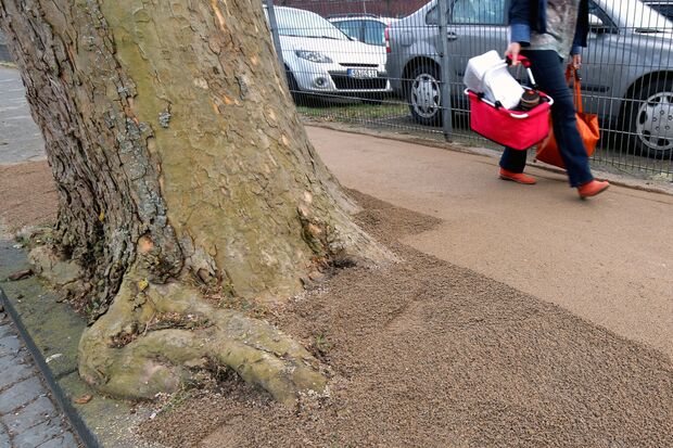 Anlieger und Passanten erzürnt: Bürger fordern sofortigen Baustop von der kommunalen Behörde FOTO: ANDREAS DUNKER