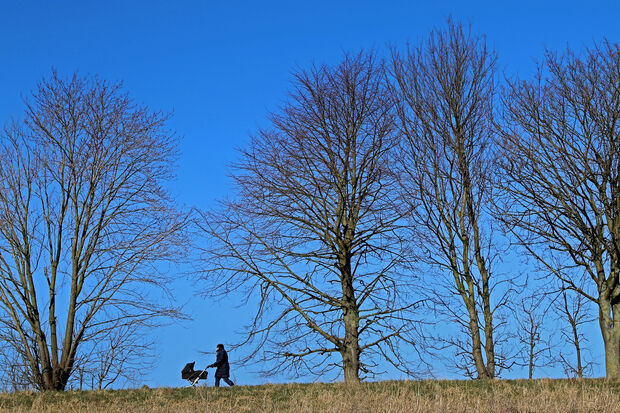 Frühlingsspaziergang in der Feldflur auf der Haar FOTO: ANDREAS DUNKER
