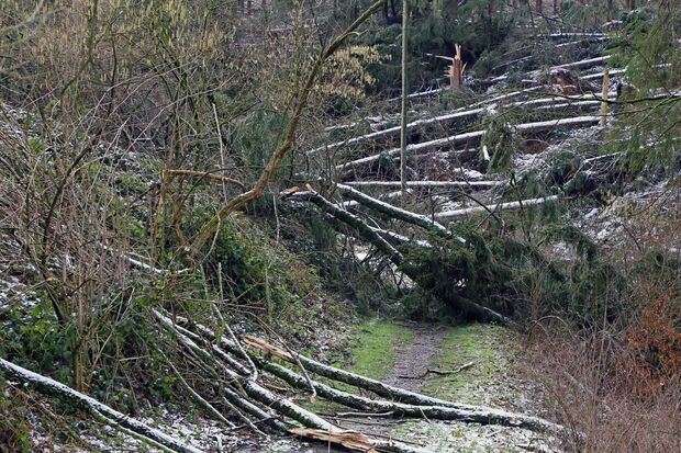 Ein durch Baumstämme blockierter Waldweg im Hövel. Das Betreten des Waldes ist aktuell lebensgefährlich und mindestens bis Monatsende behördlich verboten. FOTO: ANDREAS DUNKER