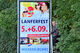 Lanfer-Fest soll in diesem Jahr nur am Sonntag stattfinden