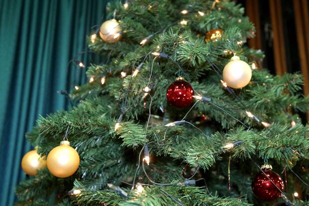 Weinachtsbaum im Bürgerhaus FOTO: ANDREAS DUNKER