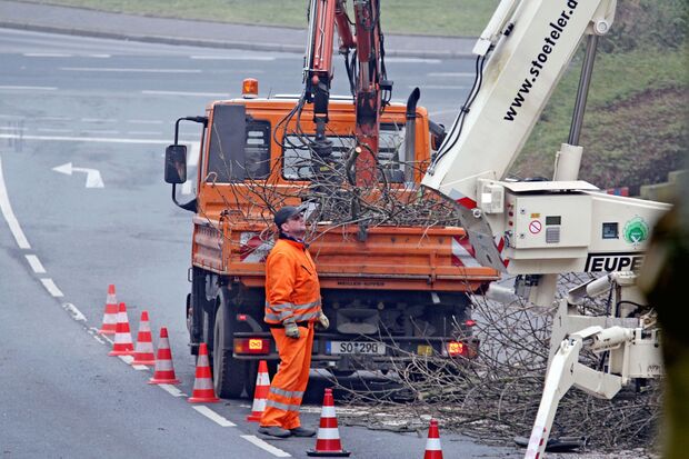 Kommunaler Bauhof und eine externe Fachfirma kümmerten sich um die Kronenpflege der Straßenbäume und um die Fällung pilzbefallener Baumstämme. FOTO: ANDREAS DUNKER