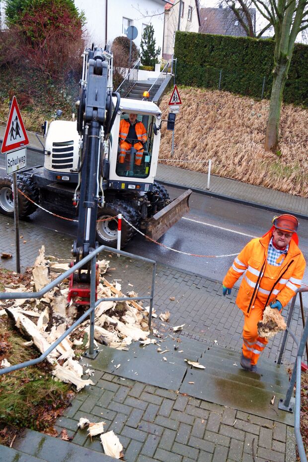 Ein Bauhofmitarbeiter mit einem Holzstück, welches total vom schädlichen Pilz befallen ist. FOTO: ANDREAS DUNKER