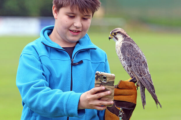 Selfie mit einem Falken: ein Kind beim Ferienspaß-Aktion der TuS Wickede FOTO: ANDREAS DUNKER