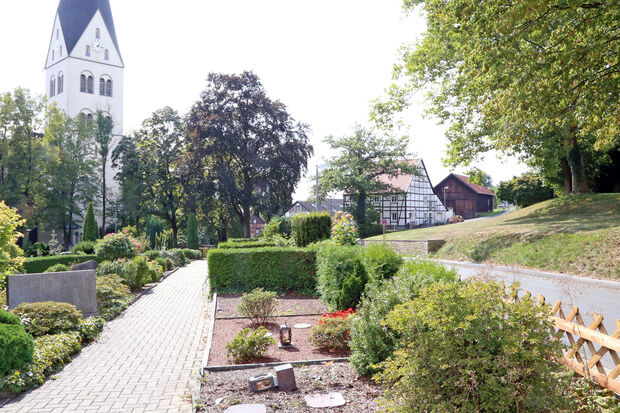 Die Spur der Verwüstung zieht sich entlang des Parallelweges zur Gerkenstraße. FOTO: ANDREAS DUNKER
