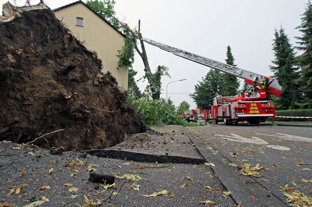 Entwurzelte Bäume krachten teilweise auf Häuser, Fahrbahnen und Gehwege – hier am Kucklermühlenweg in Werl. FOTO: ANDREAS DUNKER