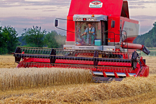 Kornernte in Wickede (Ruhr) ARCHIVFOTO: ANDREAS DUNKER