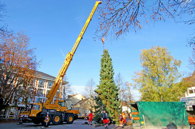 Mit einem großen Kranwagen wurde der diesjährige Weihnachtsbaum auf dem Marktplatz vor dem Rathaus aufgestellt.