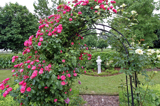 SYMBOLFOTO: ANDREAS DUNKER